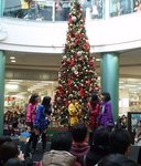 121118-002.jpg