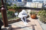 130419DSC07470.jpg