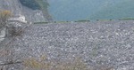 DSC05162-1.jpg