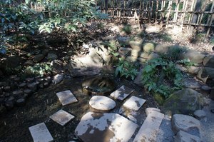 DSC06921.jpg