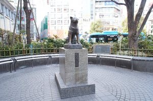 DSC06957.jpg