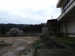 DSCN0037.jpg