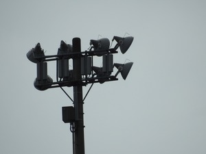 DSCN0040.jpg