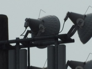 DSCN0042.jpg