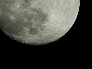 DSCN0434.jpg