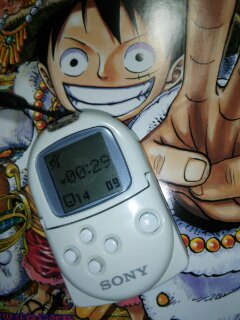 2013110300301600.jpg